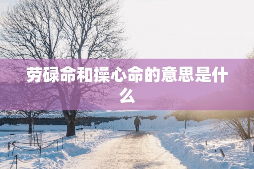 劳碌命和操心命的意思是什么
