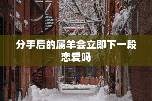 分手后的属羊会立即下一段恋爱吗