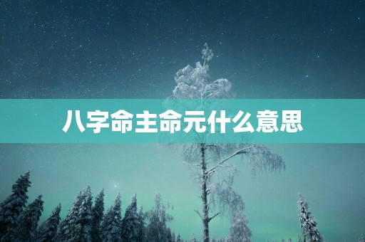 八字命主命元什么意思