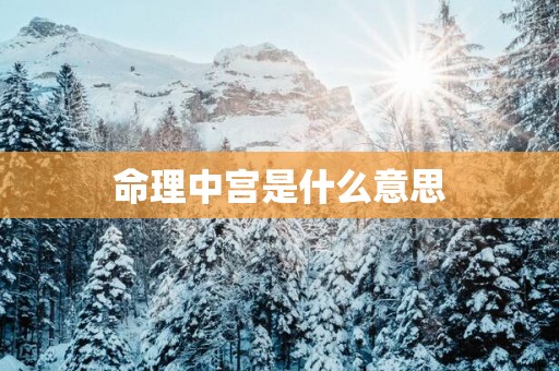 命理中宫是什么意思