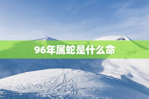 96年属蛇是什么命