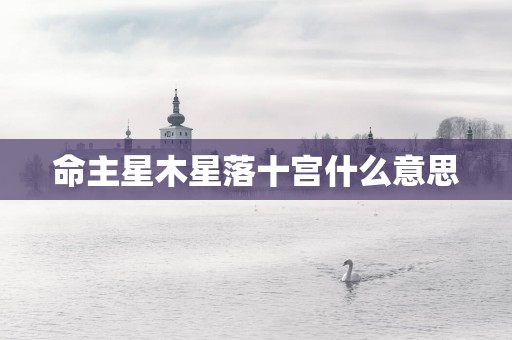 命主星木星落十宫什么意思