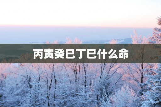 丙寅癸巳丁巳什么命