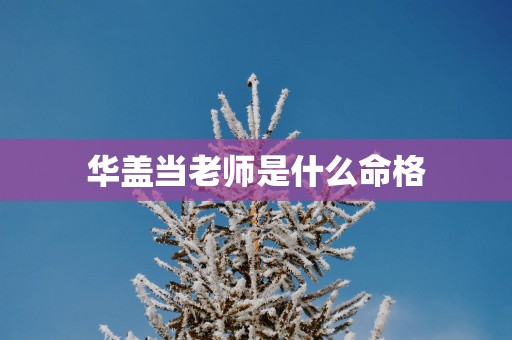 华盖当老师是什么命格