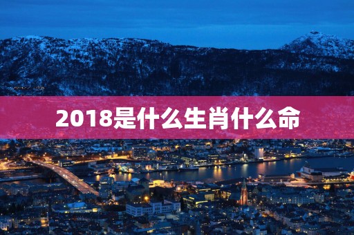 2018是什么生肖什么命
