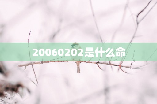 20060202是什么命