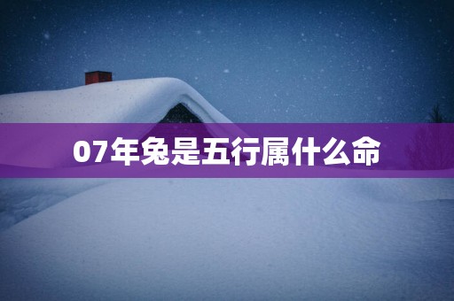 07年兔是五行属什么命