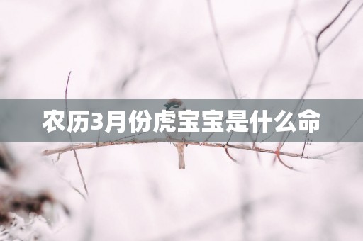 农历3月份虎宝宝是什么命