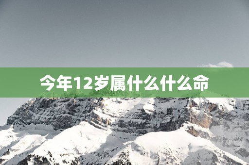 今年12岁属什么什么命