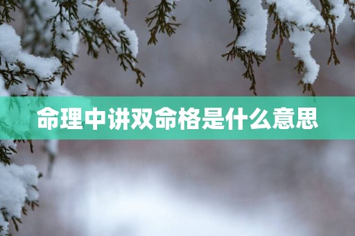命理中讲双命格是什么意思