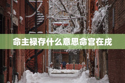 命主禄存什么意思命宫在戌