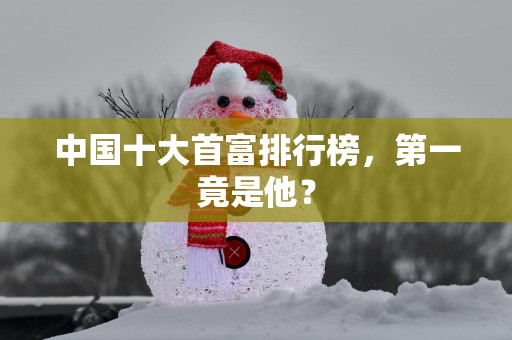 中国十大首富排行榜，第一竟是他？