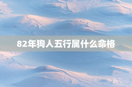 82年狗人五行属什么命格