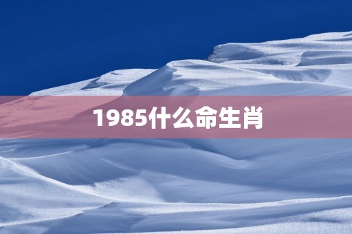 1985什么命生肖