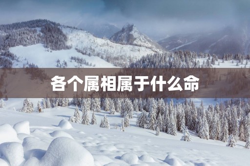 各个属相属于什么命