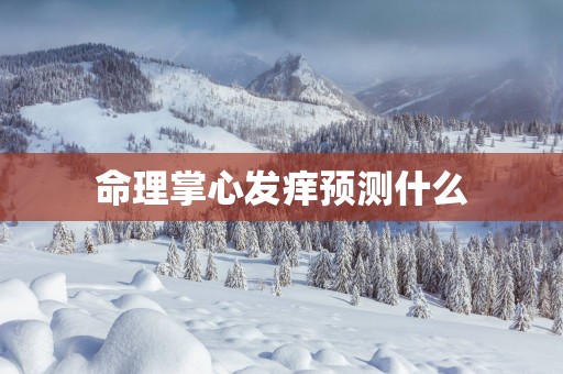 命理掌心发痒预测什么