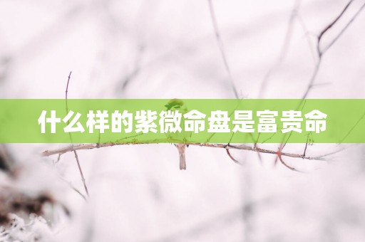 什么样的紫微命盘是富贵命