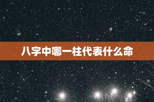 八字中哪一柱代表什么命