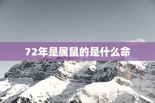 72年是属鼠的是什么命