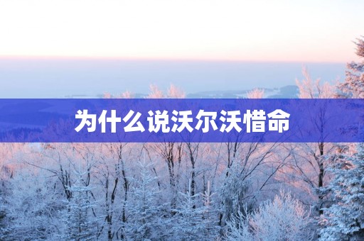 为什么说沃尔沃惜命