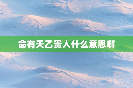 命有天乙贵人什么意思啊