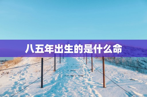 八五年出生的是什么命