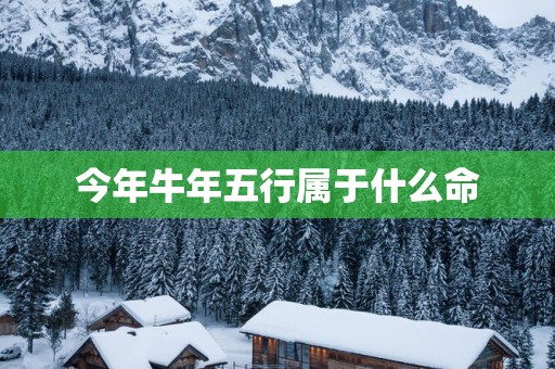 今年蛇年五行属于什么命