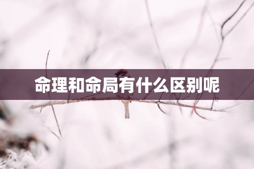 命理和命局有什么区别呢