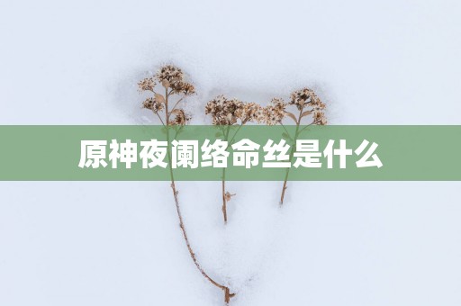 原神夜阑络命丝是什么