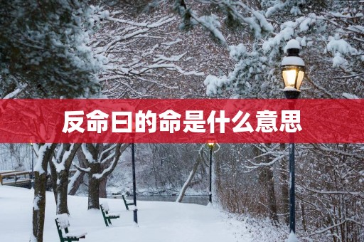 反命曰的命是什么意思