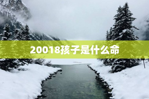 20018孩子是什么命