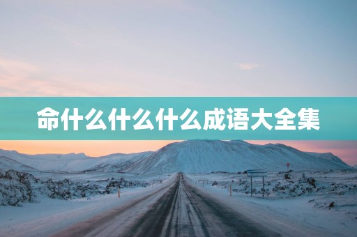 命什么什么什么成语大全集