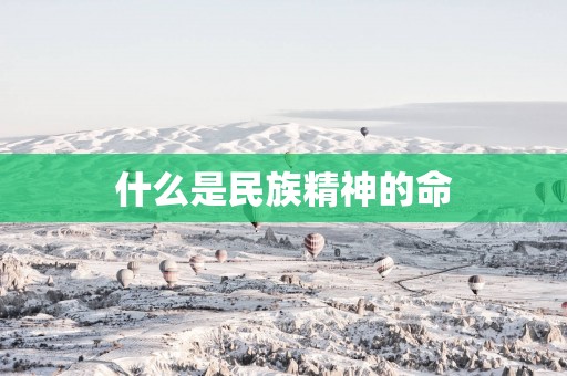 什么是民族精神的命