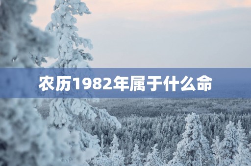 农历1982年属于什么命