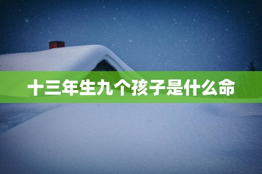 十三年生九个孩子是什么命
