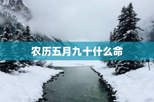 农历五月九十什么命
