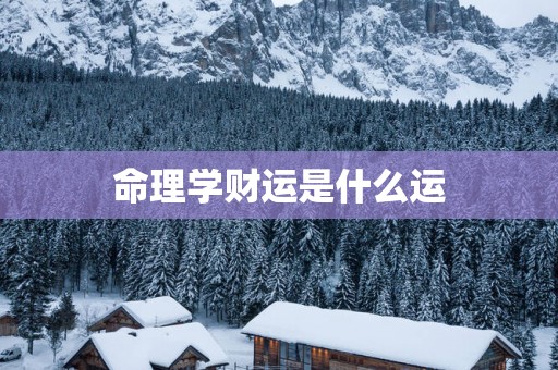 命理学财运是什么运