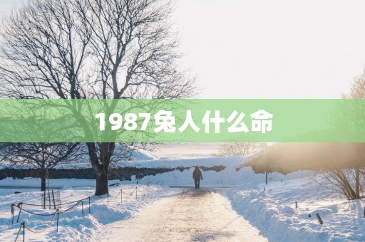 1987兔人什么命