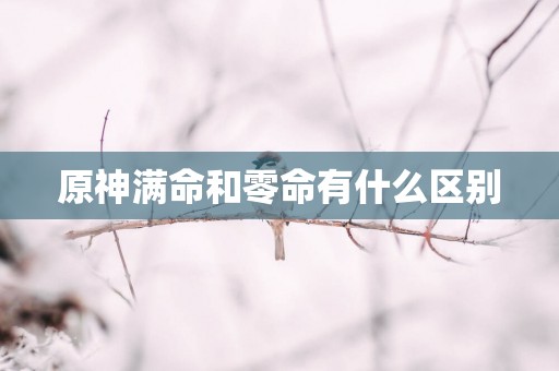 原神满命和零命有什么区别