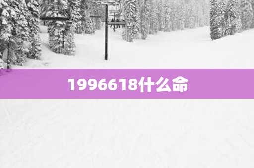 1996618什么命