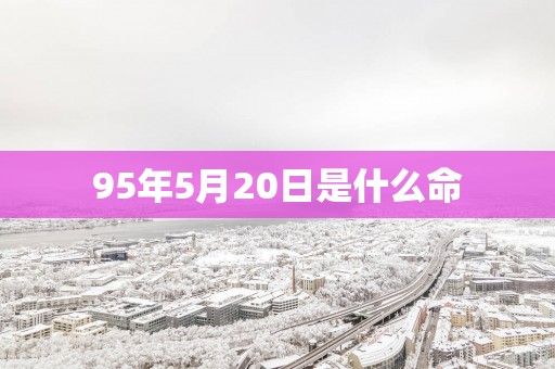 95年5月20日是什么命