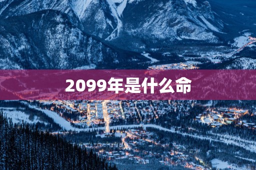 2099年是什么命