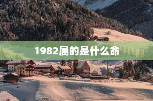 1982属的是什么命