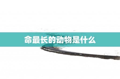 命最长的动物是什么