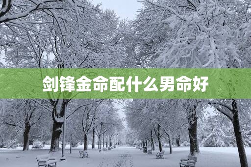 剑锋金命配什么男命好