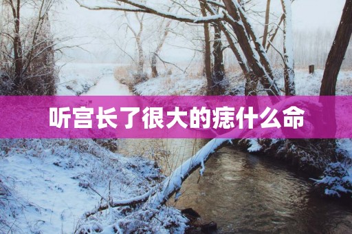 听宫长了很大的痣什么命
