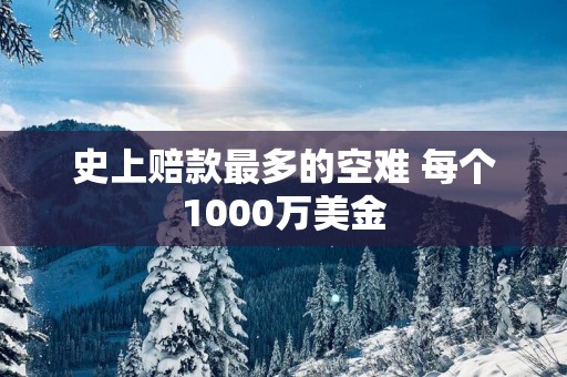 史上赔款最多的空难 每个1000万美金
