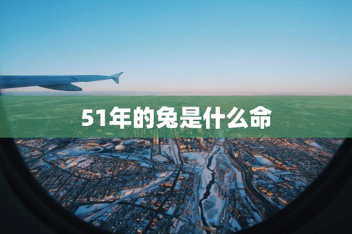 51年的兔是什么命