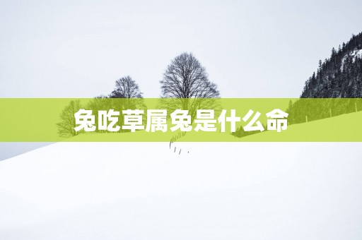 兔吃草属兔是什么命