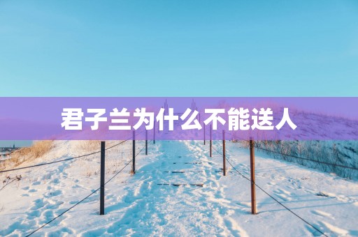 君子兰为什么不能送人